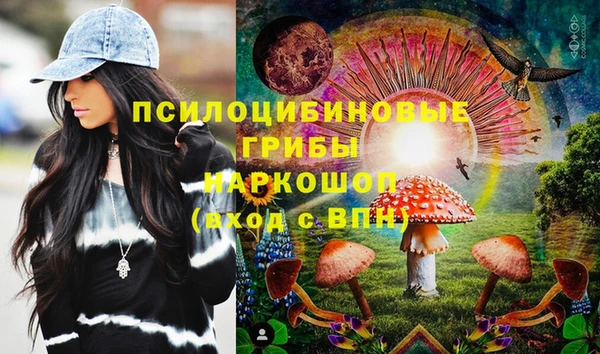 мдма Ельня