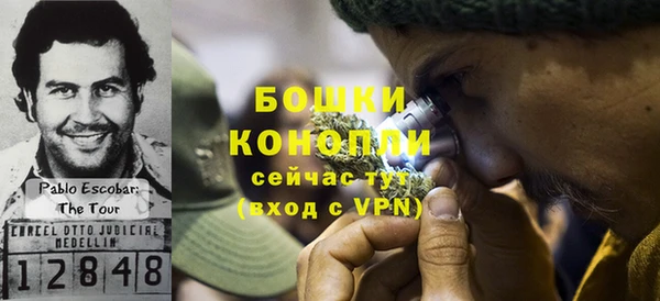 мдма Ельня