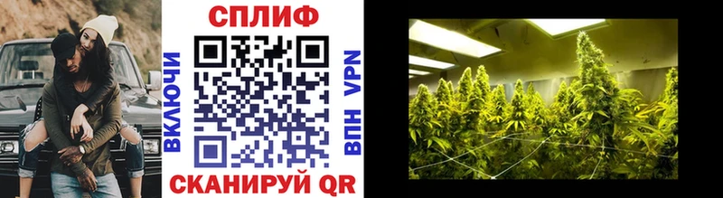 Каннабис SATIVA & INDICA  Купить где  Ишим 